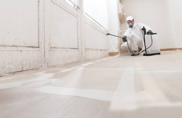 24/7 Emergency Attic Mold Removal experts in Closter, NJ